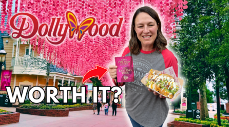 Is The Dollywood Tasting Pass Worth It? 2024 IWALY Food Guide